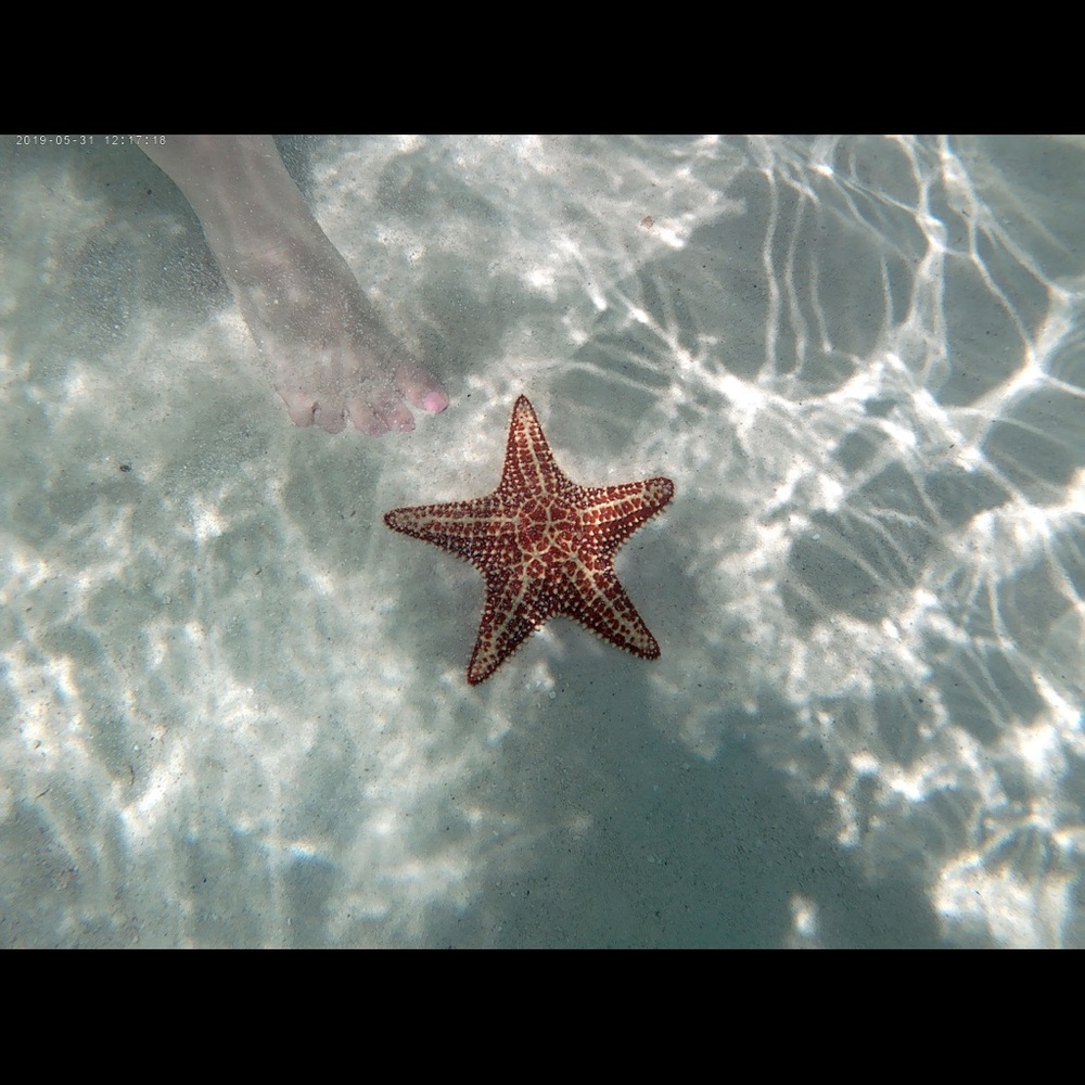 Meet your Posher, Lisa